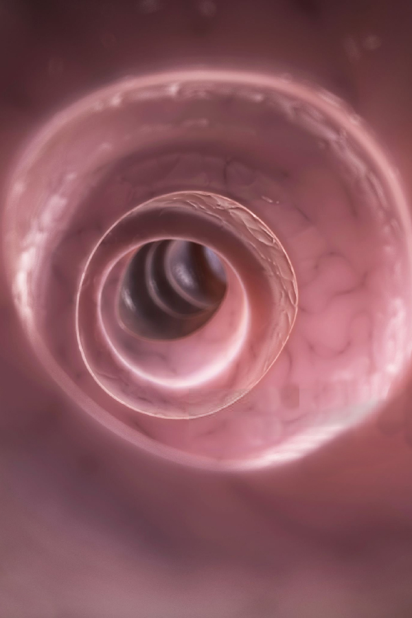 Procedimientos de colonoscopía