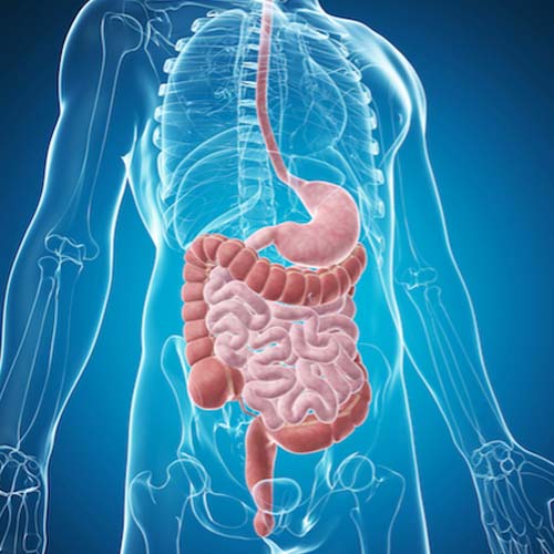 Centro Médico Endoscopia Ovalle